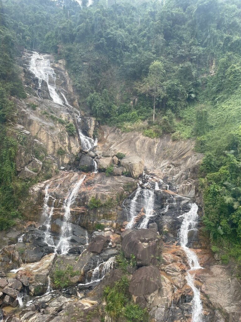 Image #5 from Kellie L