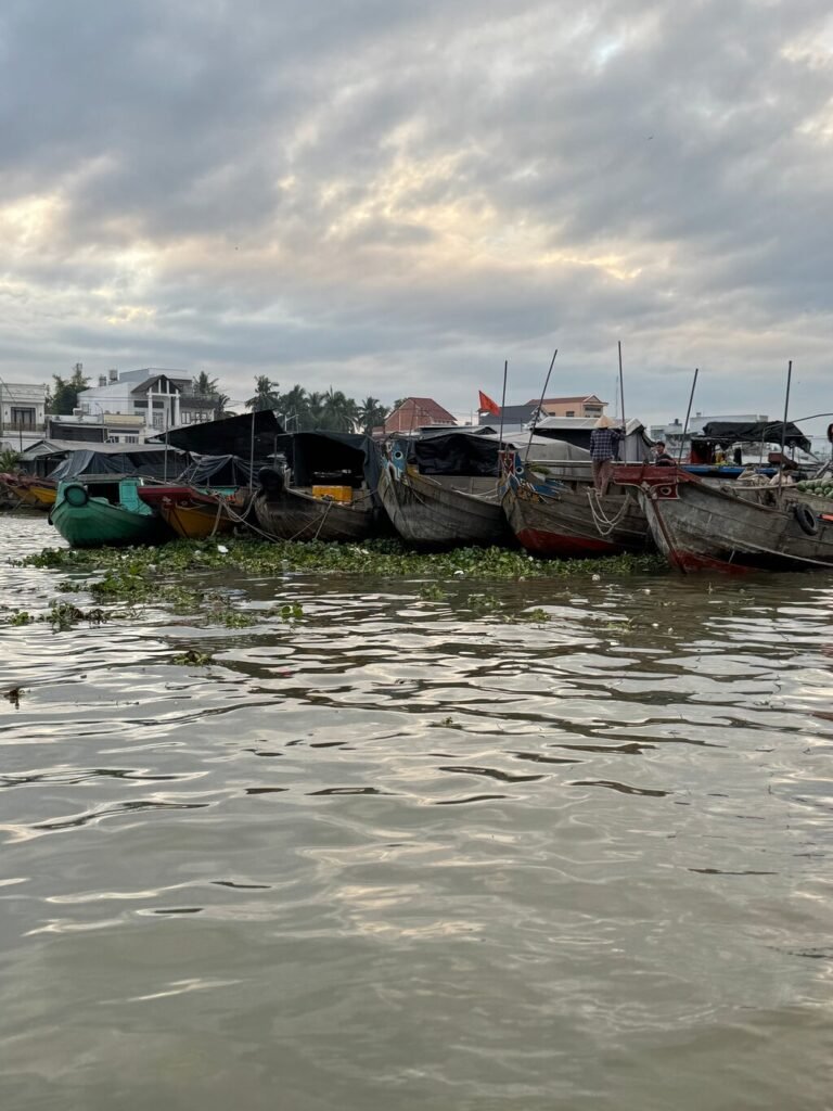 Image #2 from Filippo C