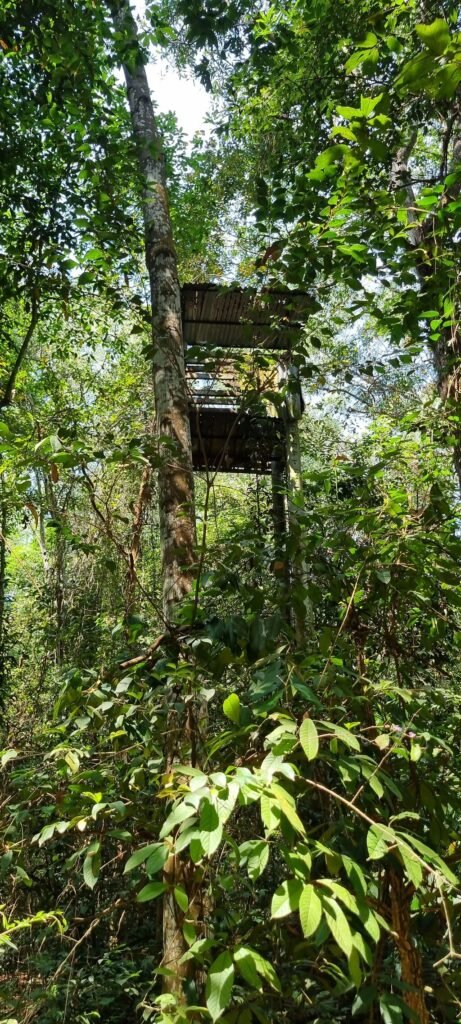 Image #1 from Michelle T