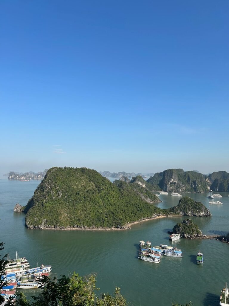 Image #1 from Michelle T